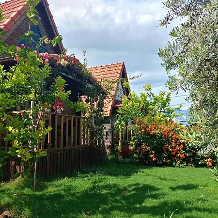 Riviera Evleri