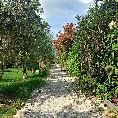 Riviera Evleri Holiday home
