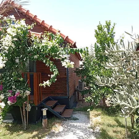 Riviera Evleri Holiday home *