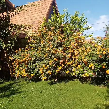 Holiday home Riviera Evleri *