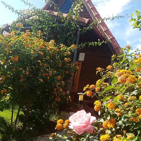 Riviera Evleri Holiday home Demre