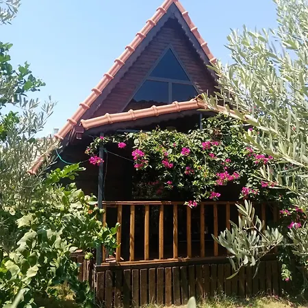 Riviera Evleri