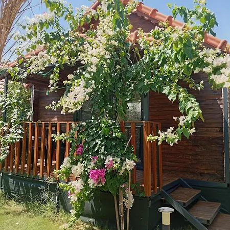 Holiday home Riviera Evleri *
