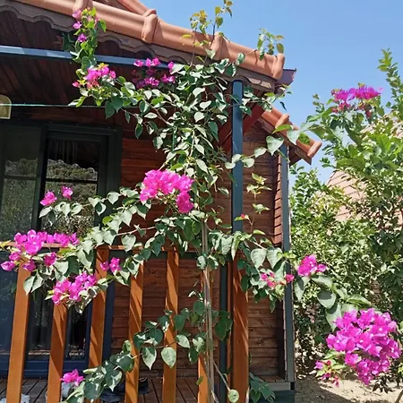 Riviera Evleri Holiday home