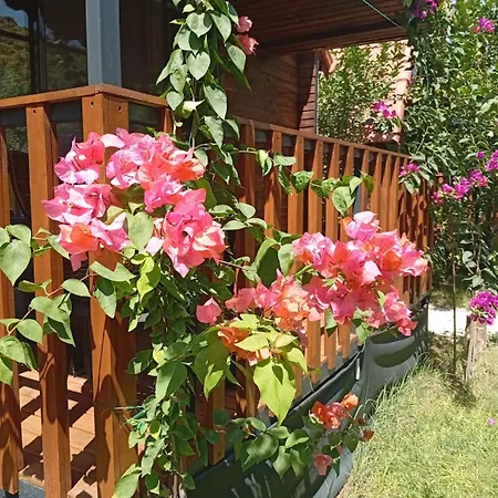 Holiday home Riviera Evleri